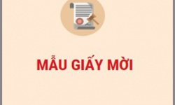 Mẫu giấy bảo lãnh/ Giấy mời xin visa Đức